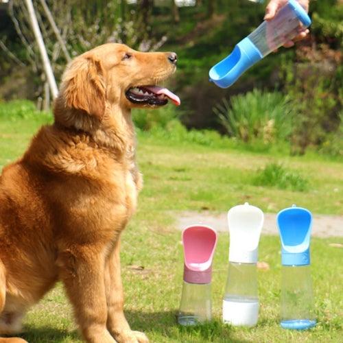 Gourde Nomade 2-en-1 pour chien