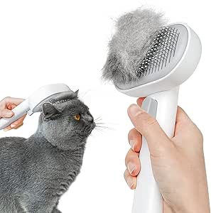 Brosse pour chat