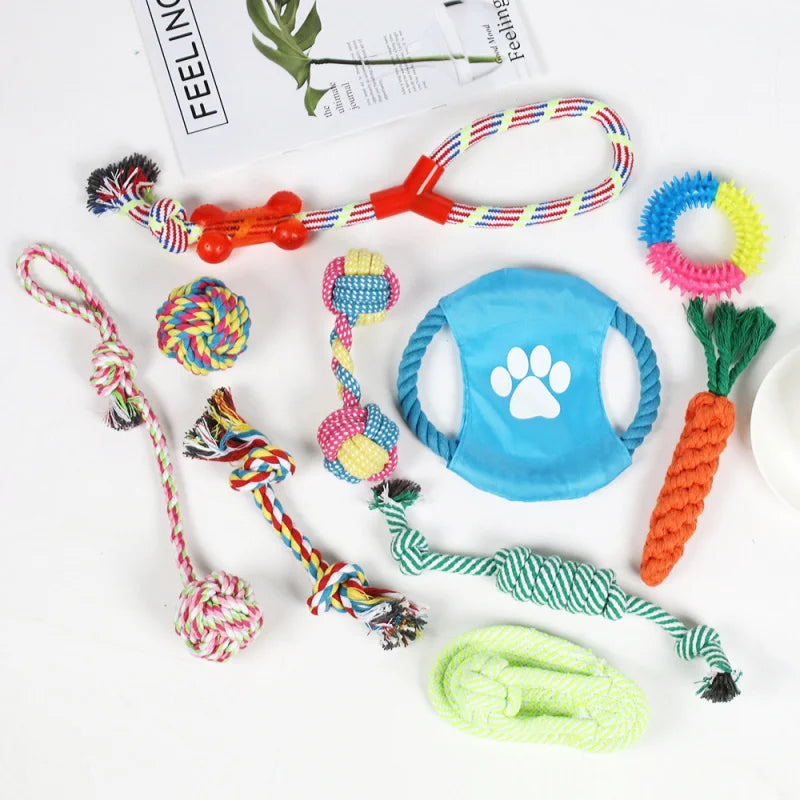 Pack 7 Jouets pour Chien — Cordes à Mâcher & Peluches Résistantes
